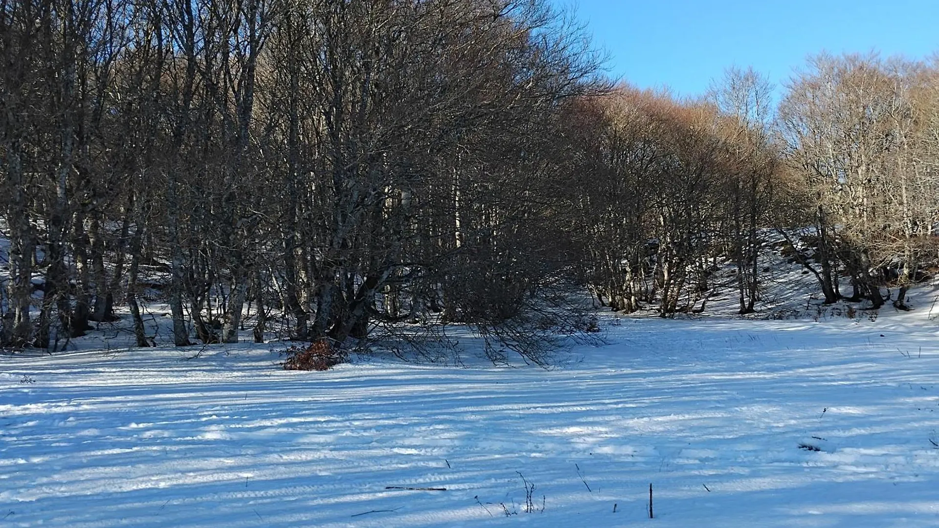 Appartamento Le Repos D'Aubrac Laguiole 0*,  Francia
